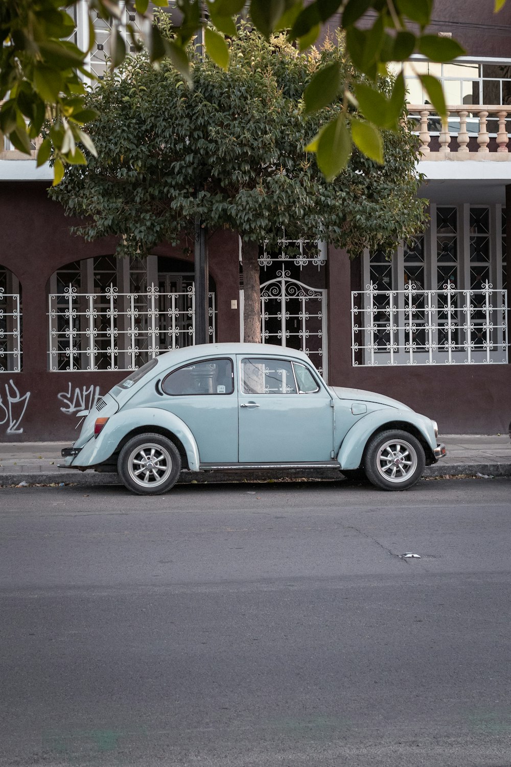 blue volkswagen beetle parked beside green tree during daytime