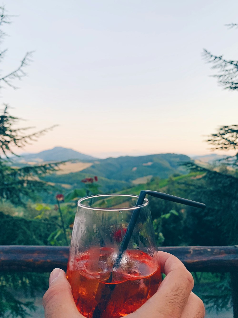 person holding clear drinking glass with red liquid