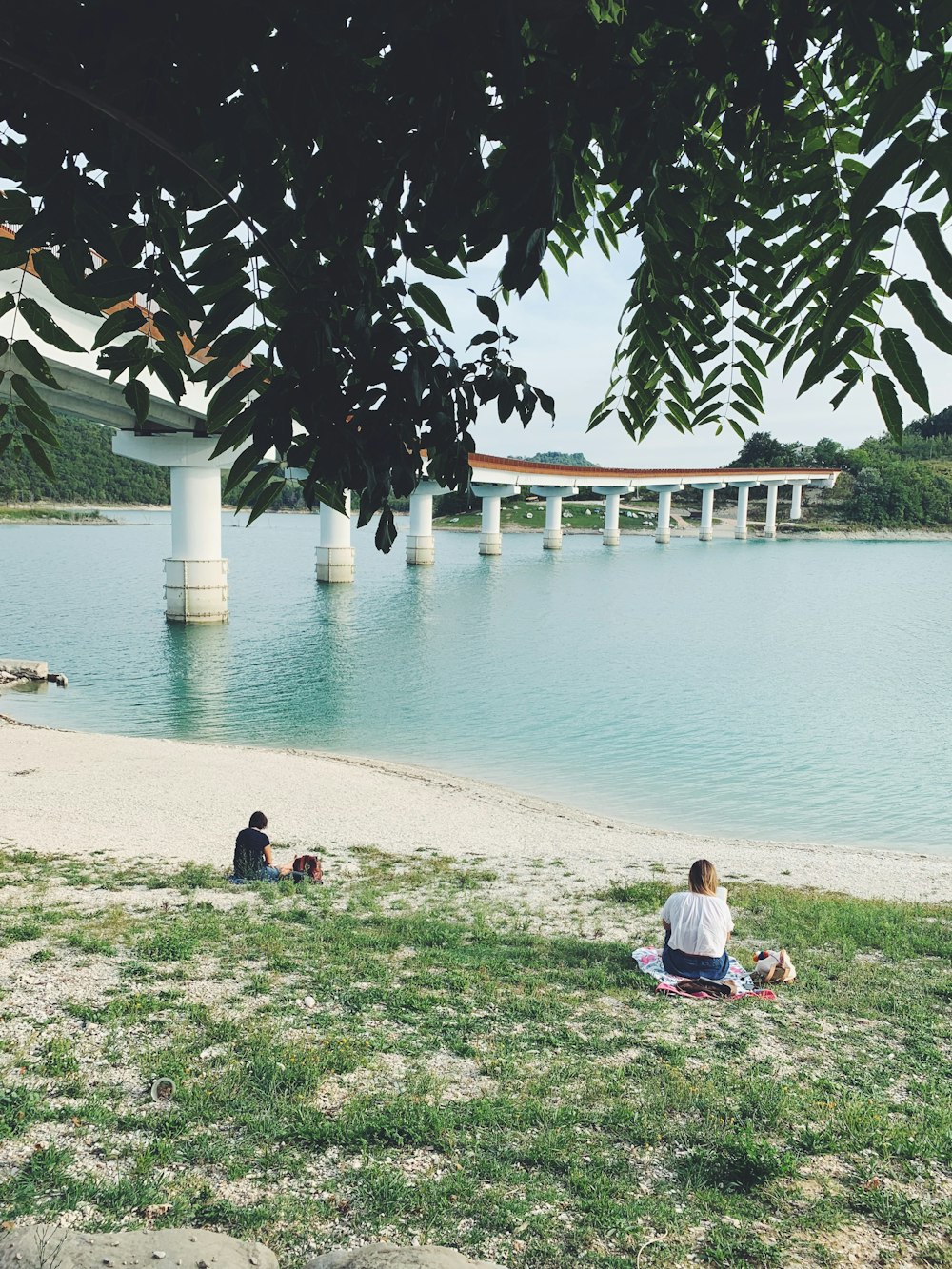 woman in white shirt sitting on green grass near body of water during daytime