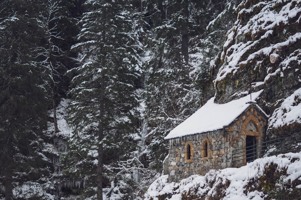 Braunes Haus umgeben von schneebedeckten Bäumen