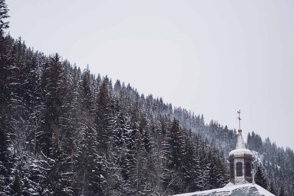 white concrete building surrounded by trees covered with snow