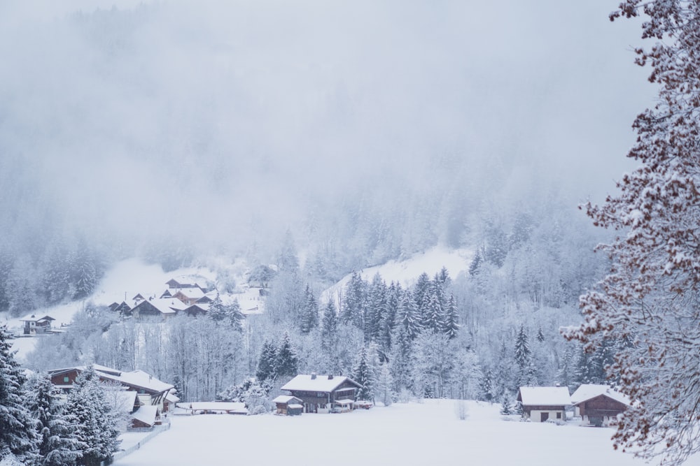 Tagsüber schneebedeckte Häuser und Bäume