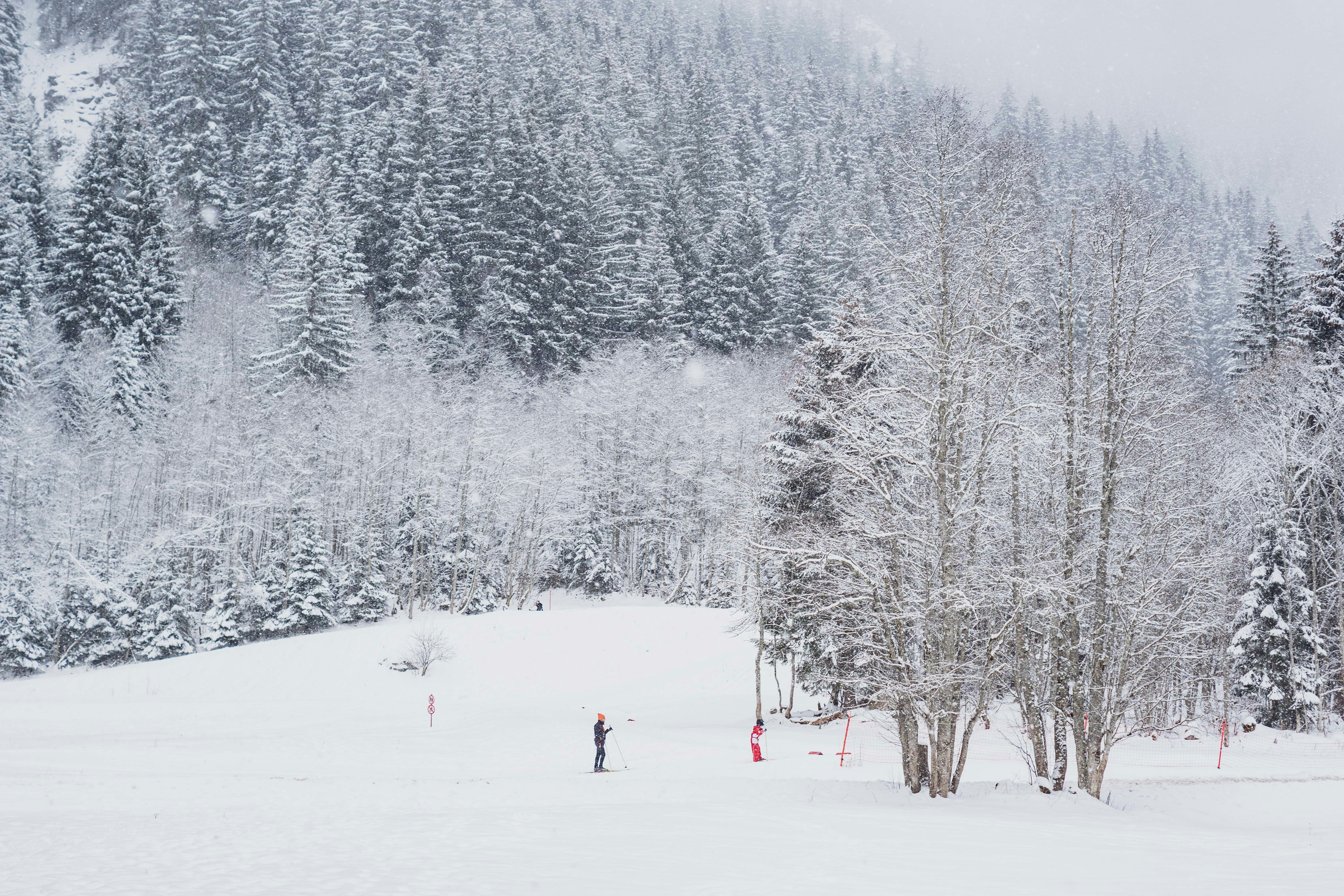 Photo by jbonunsplash