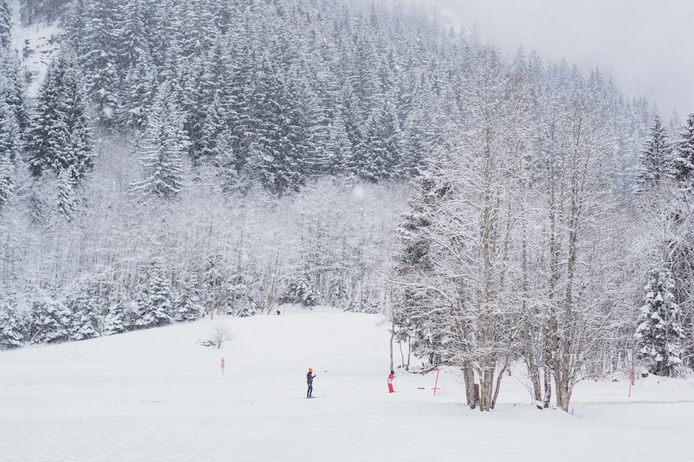 Person in roter Jacke und schwarzer Hose, die tagsüber auf schneebedecktem Boden in der Nähe von Bäumen steht