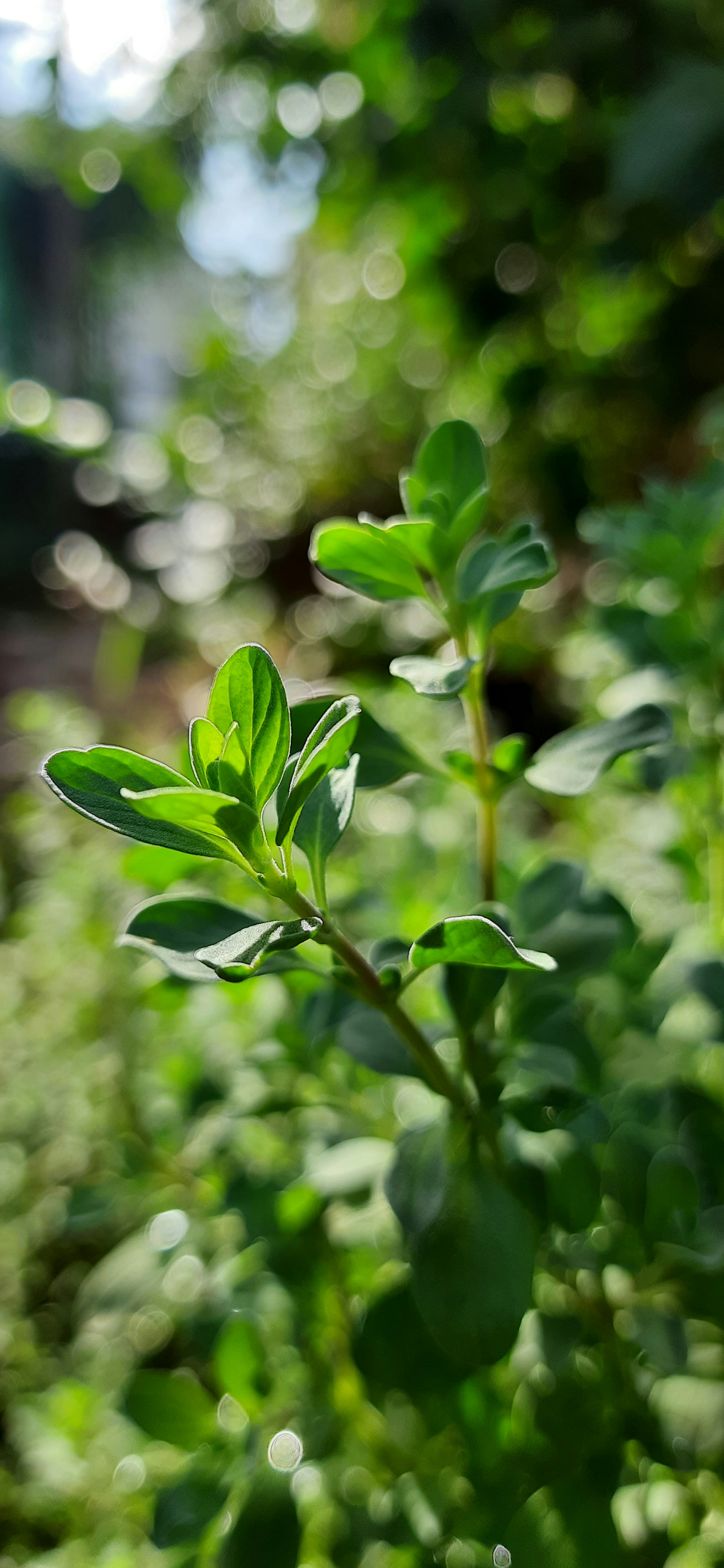 Photo by sourabh7196