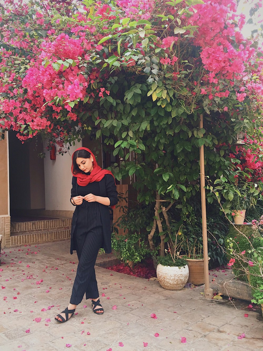 woman in black hijab standing near pink flower plant