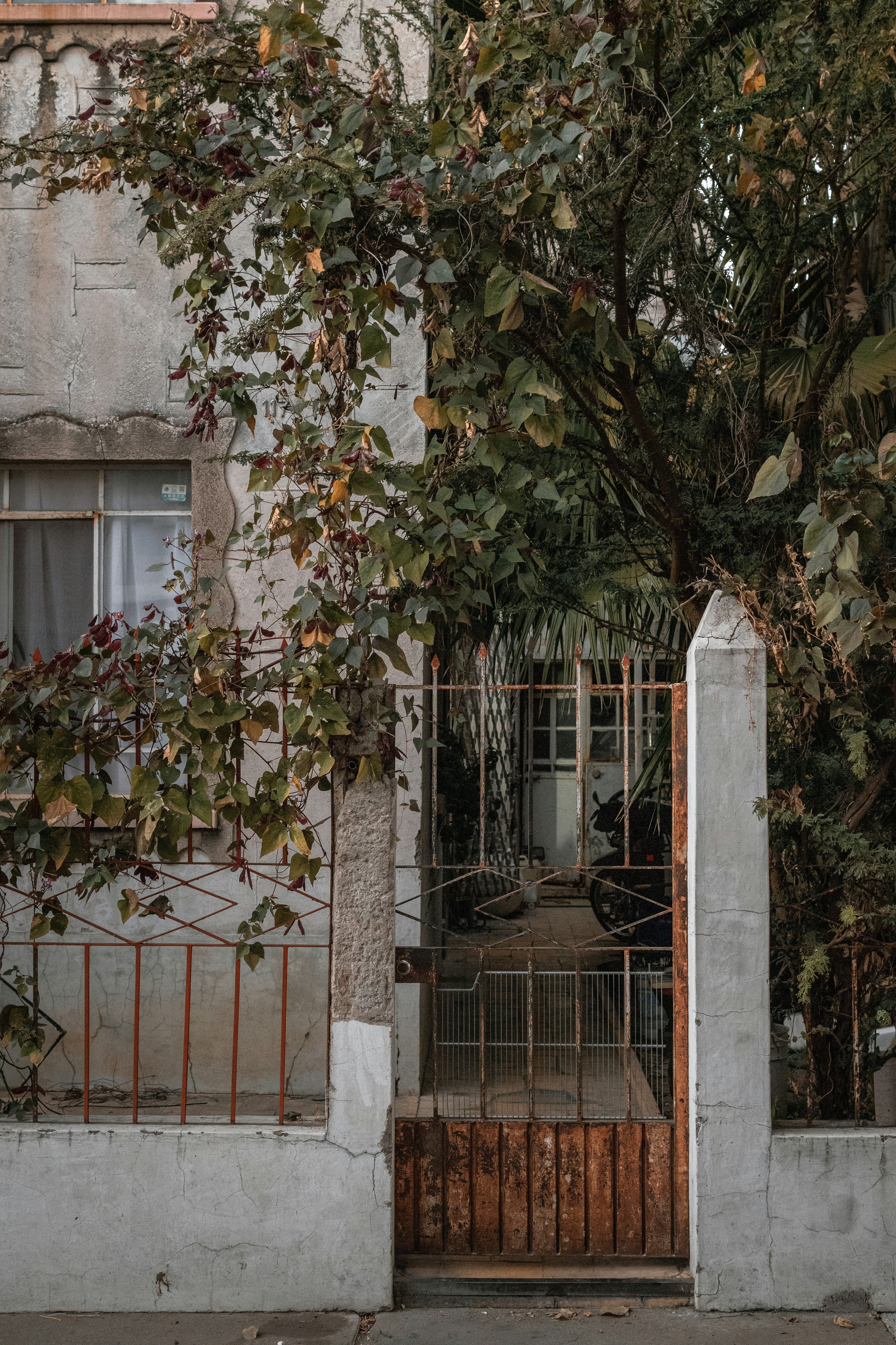 Photo by alex_quezada