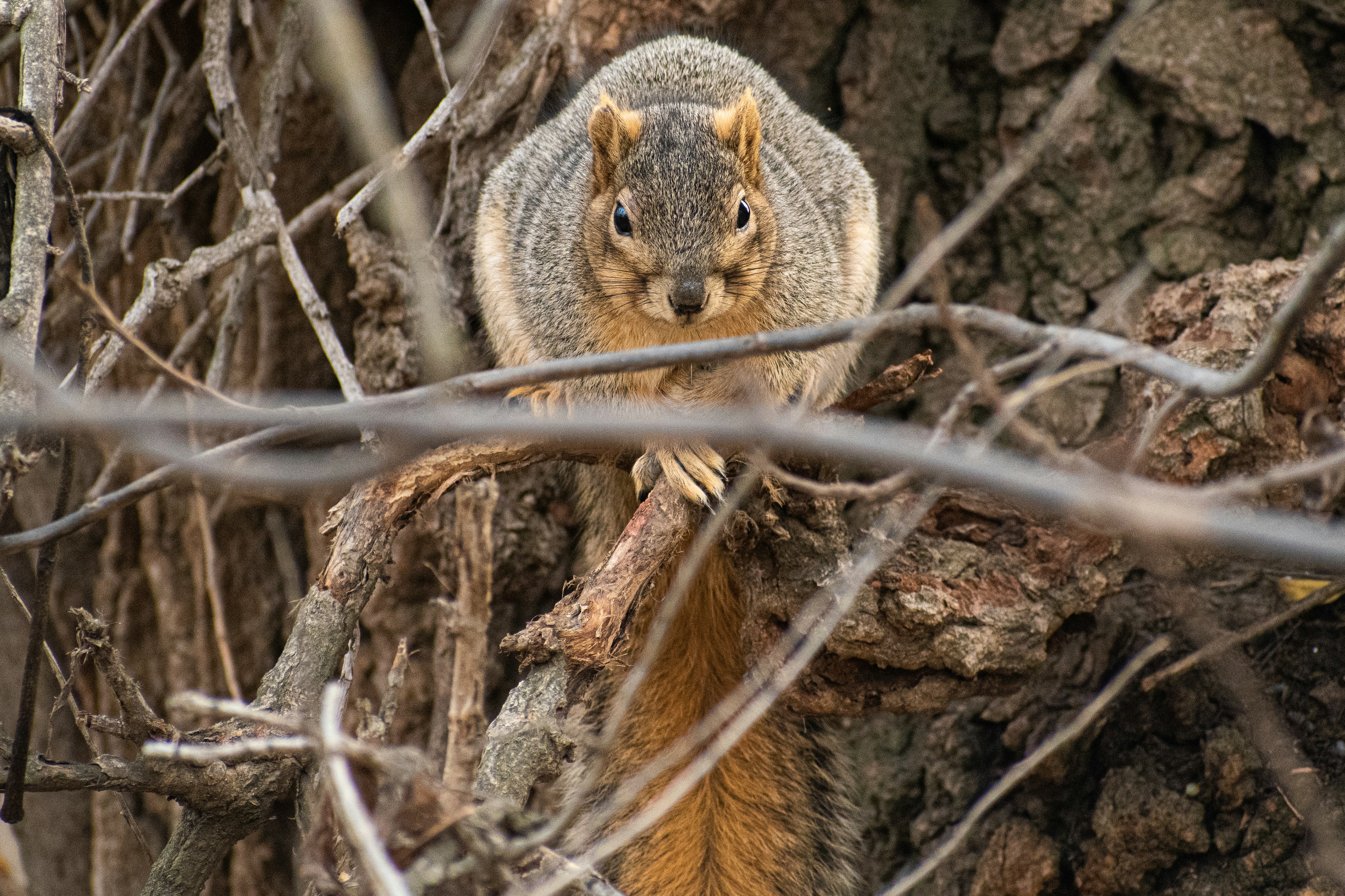 Photo by elisastonephotography