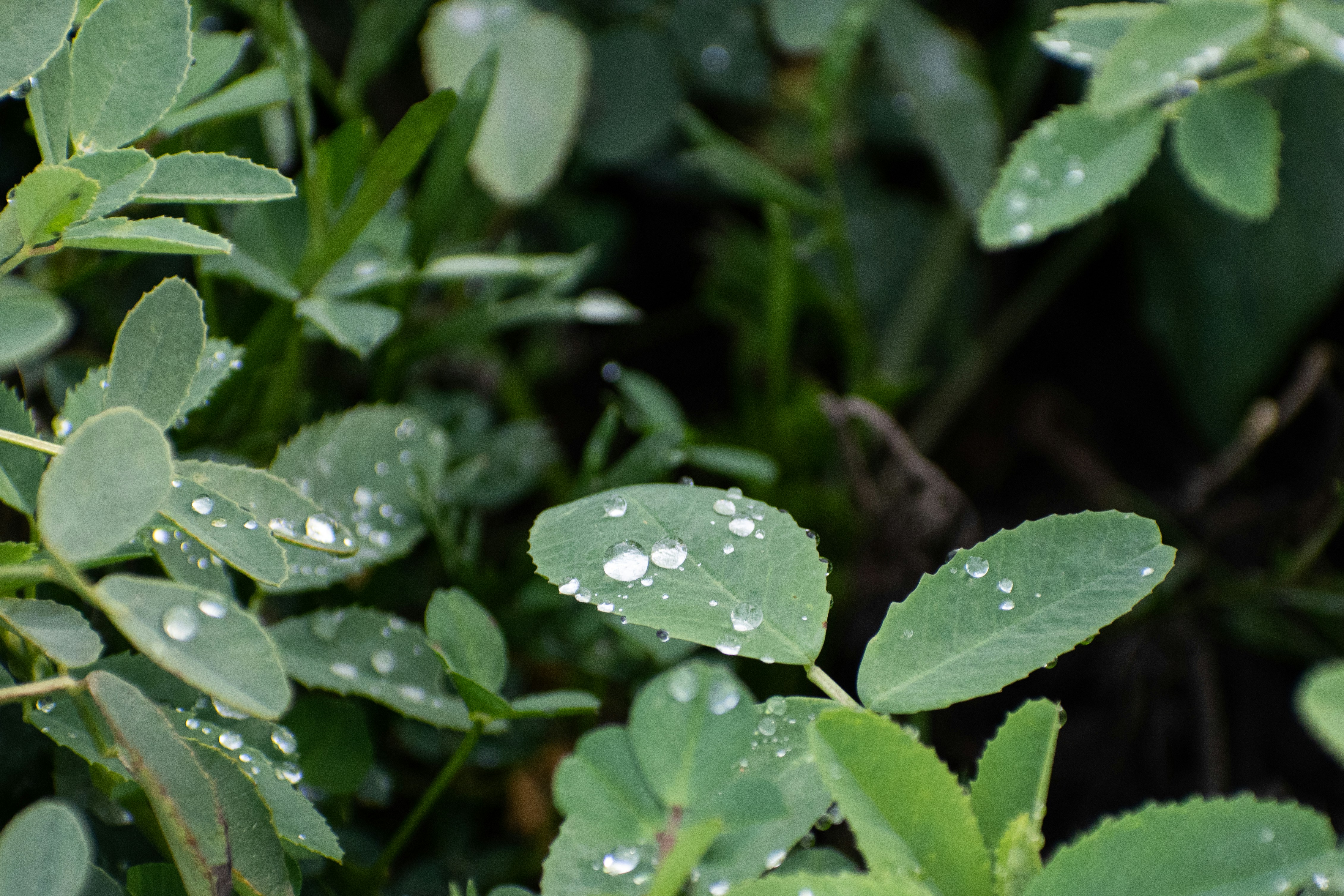 Photo by elisastonephotography