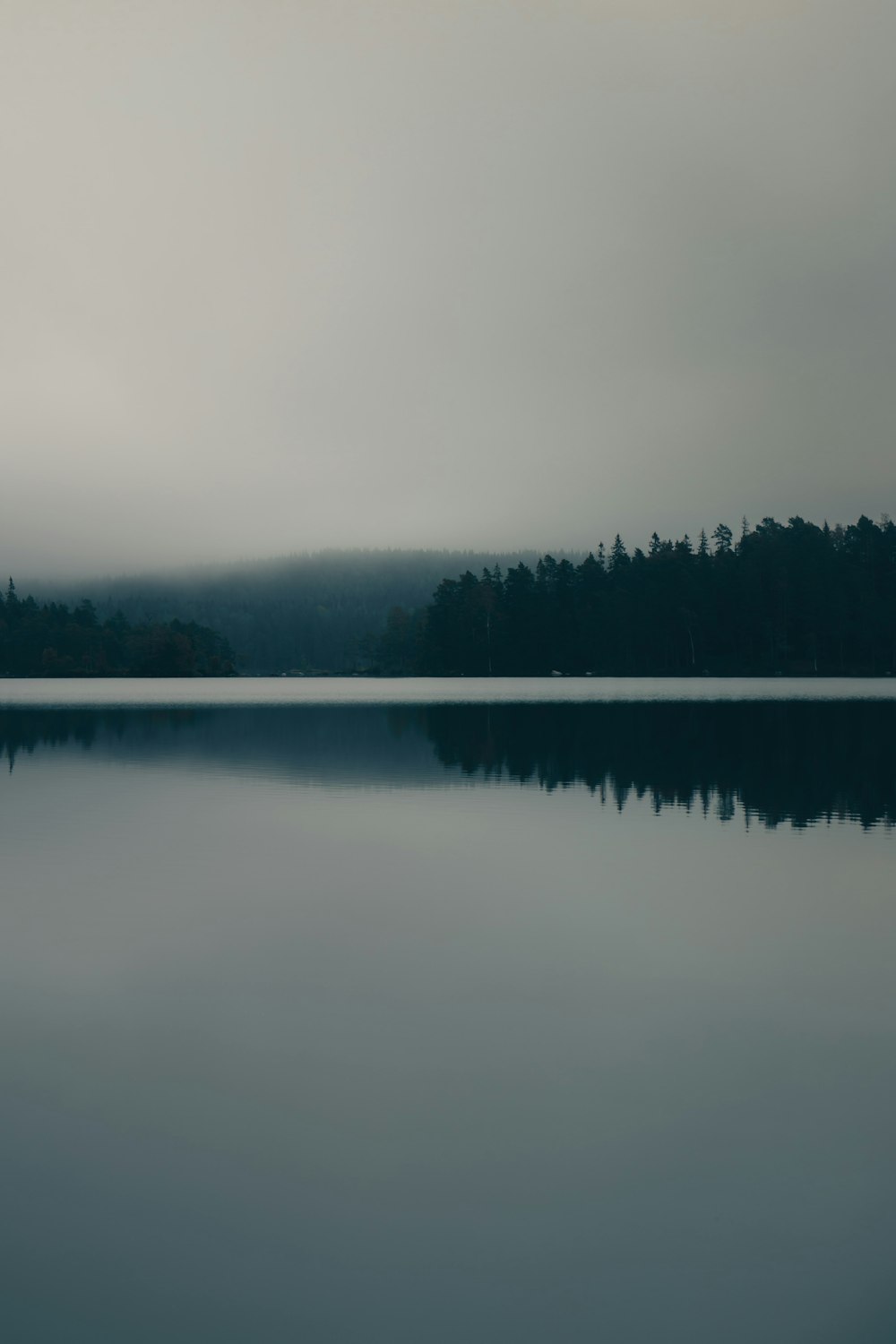 alberi verdi accanto al lago sotto il cielo bianco durante il giorno