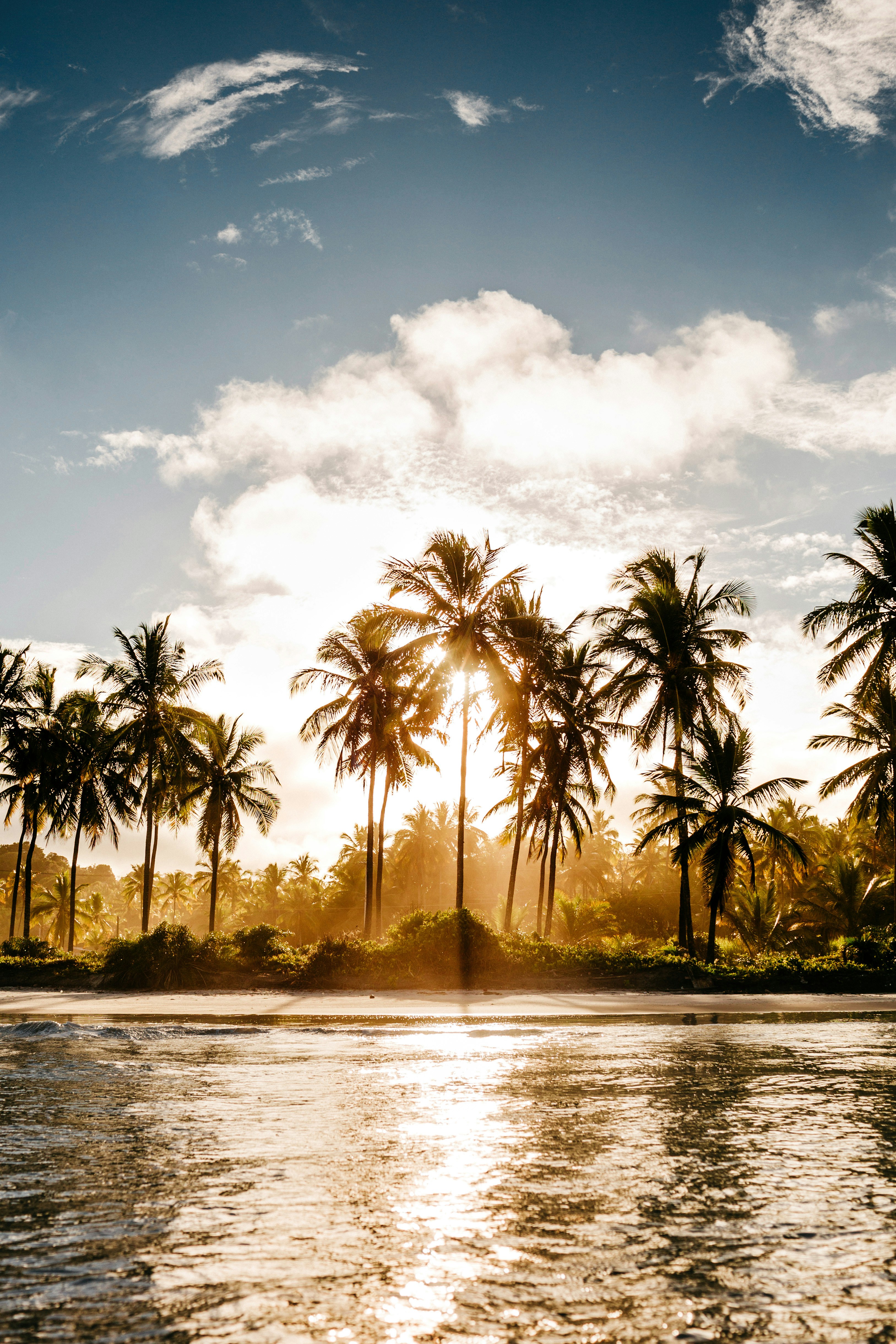 Choose from a curated selection of water wallpapers for your mobile and desktop screens. Always free on Unsplash.