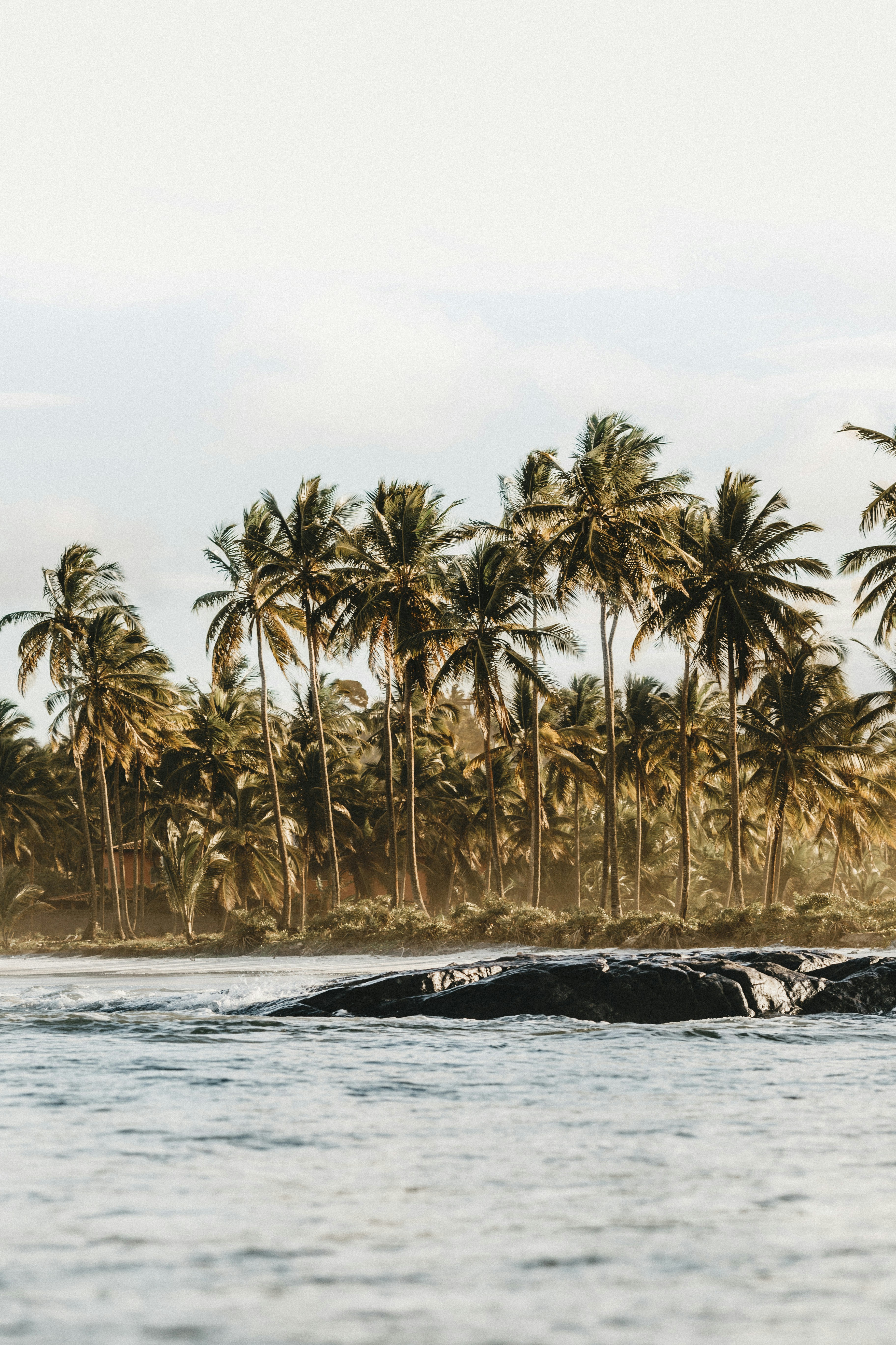 Photo by jonathanborba