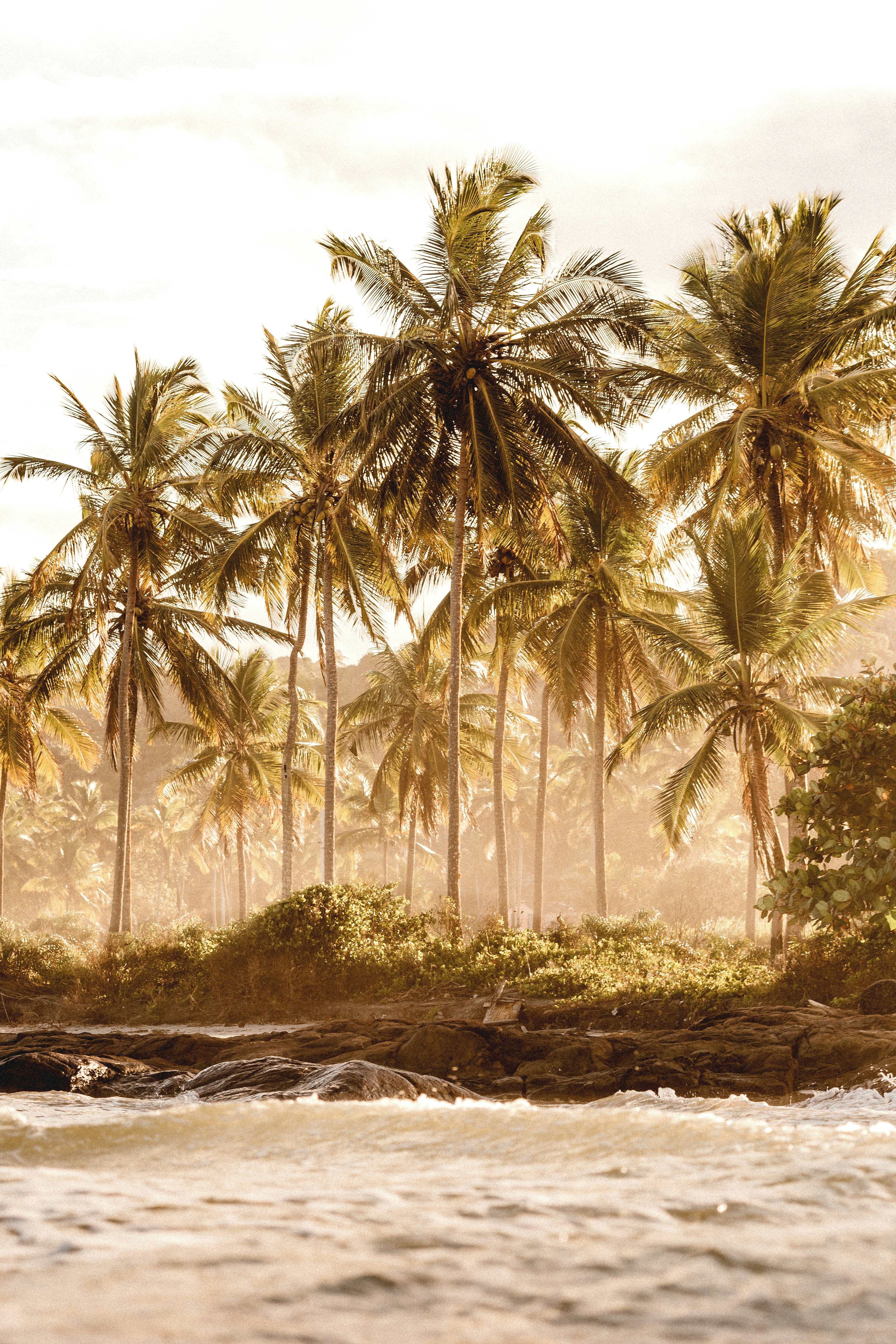 Nature produces the most astoundingly beautiful images: the swirling lava of a volcano, palm trees against a blue sky, snow-capped mountains towering above. Unsplash has magnificent , high-quality photos of all the delights that nature has to offer.