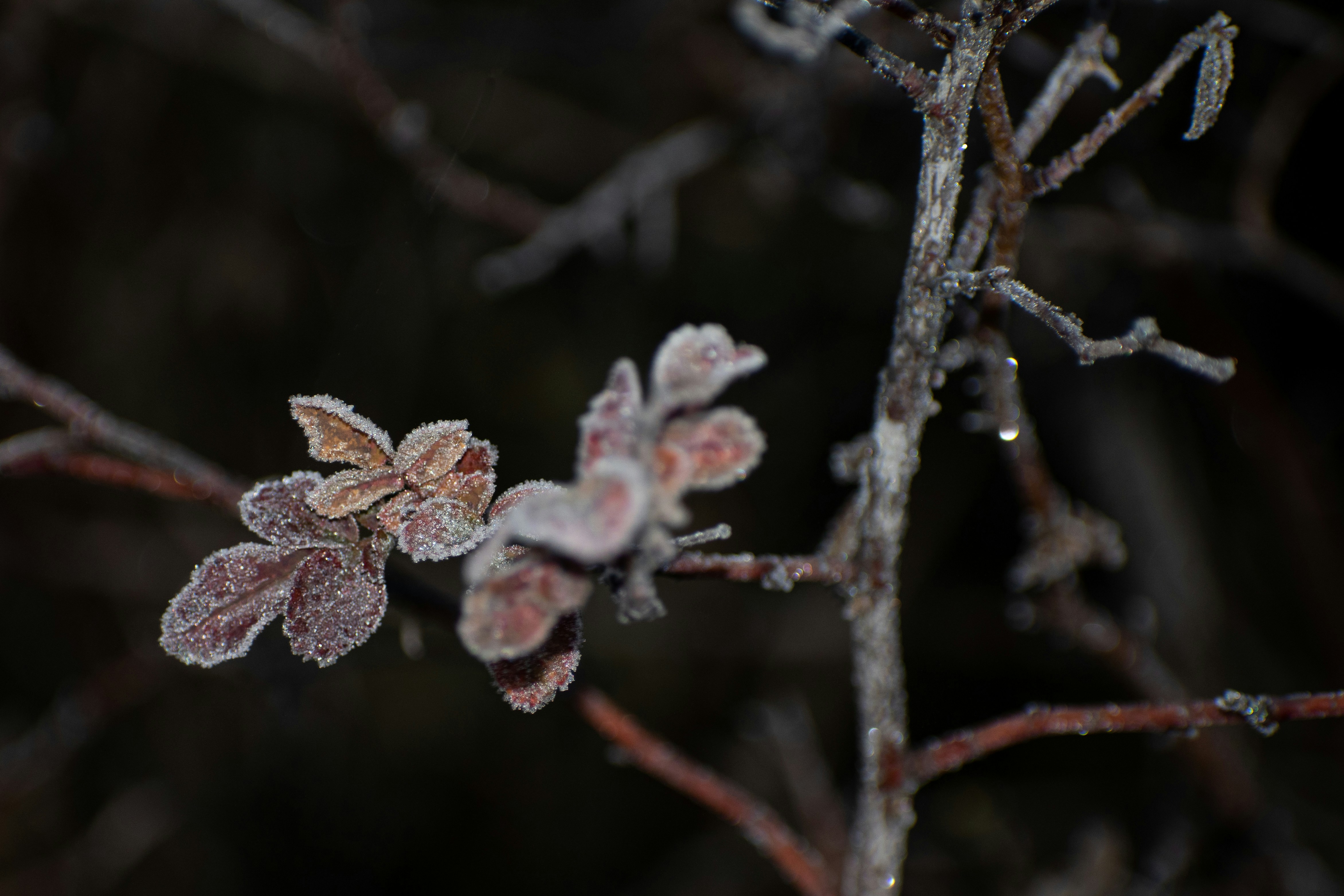 Photo by elisastonephotography