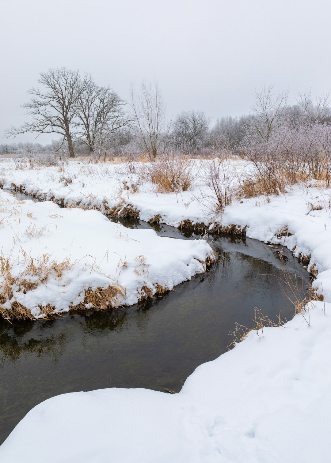 snow covered field and trees beside river during daytime