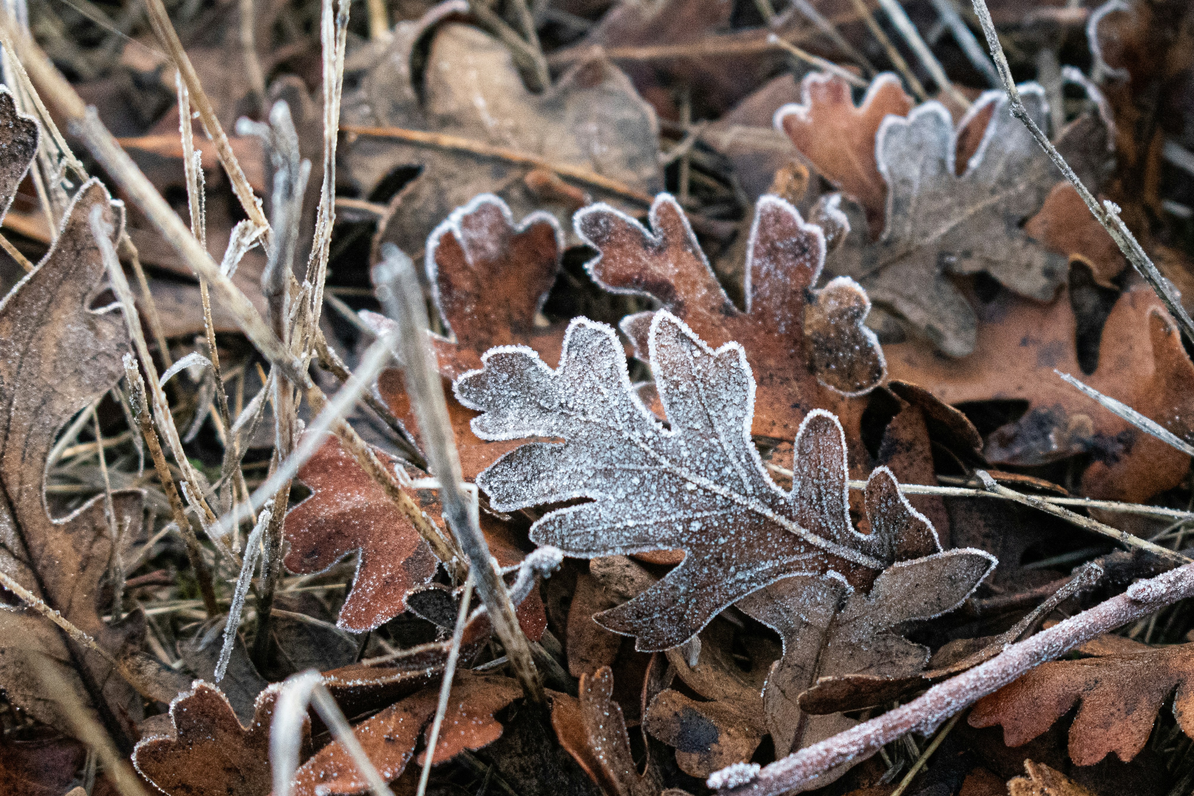 Photo by elisastonephotography