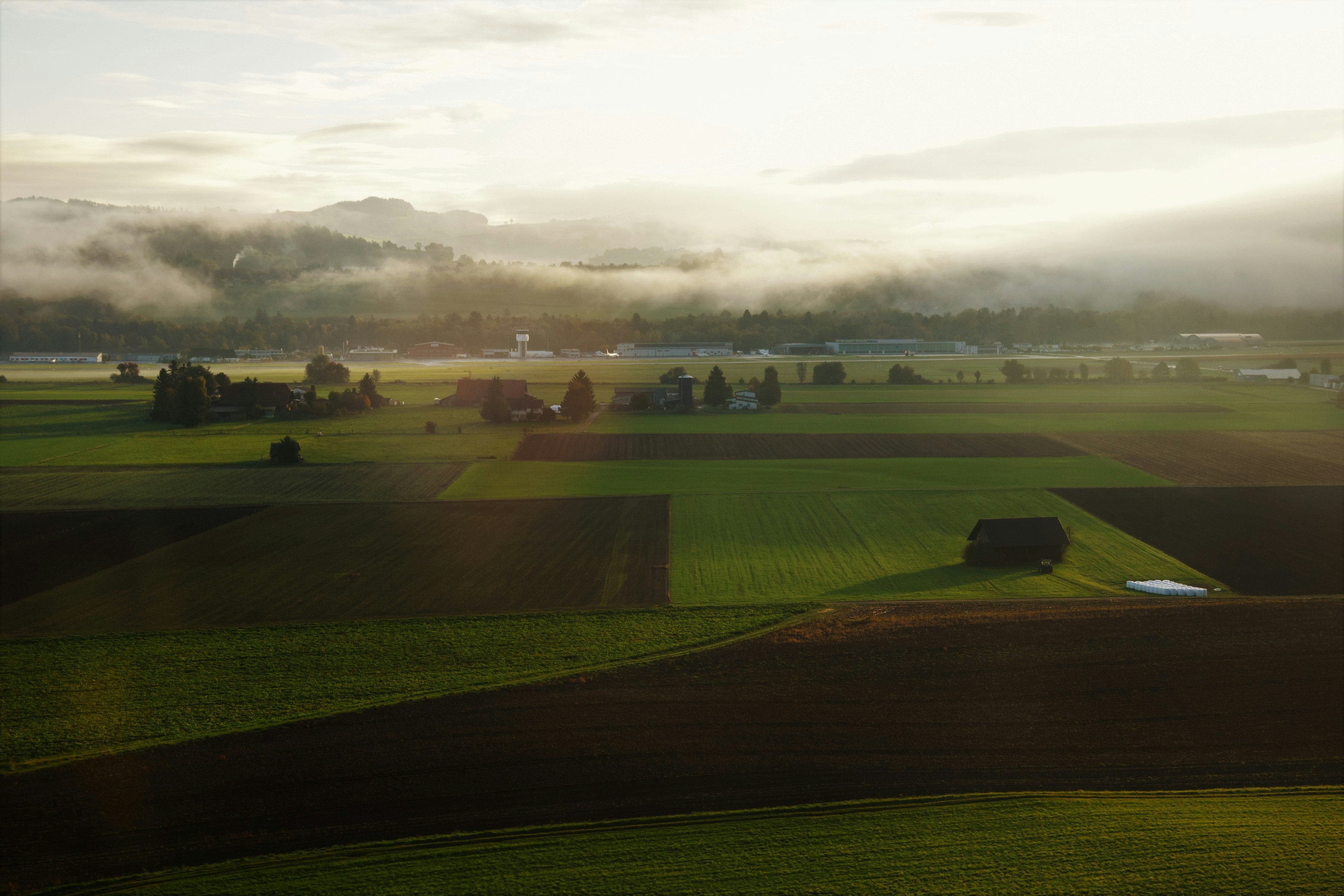 green grass field during daytime