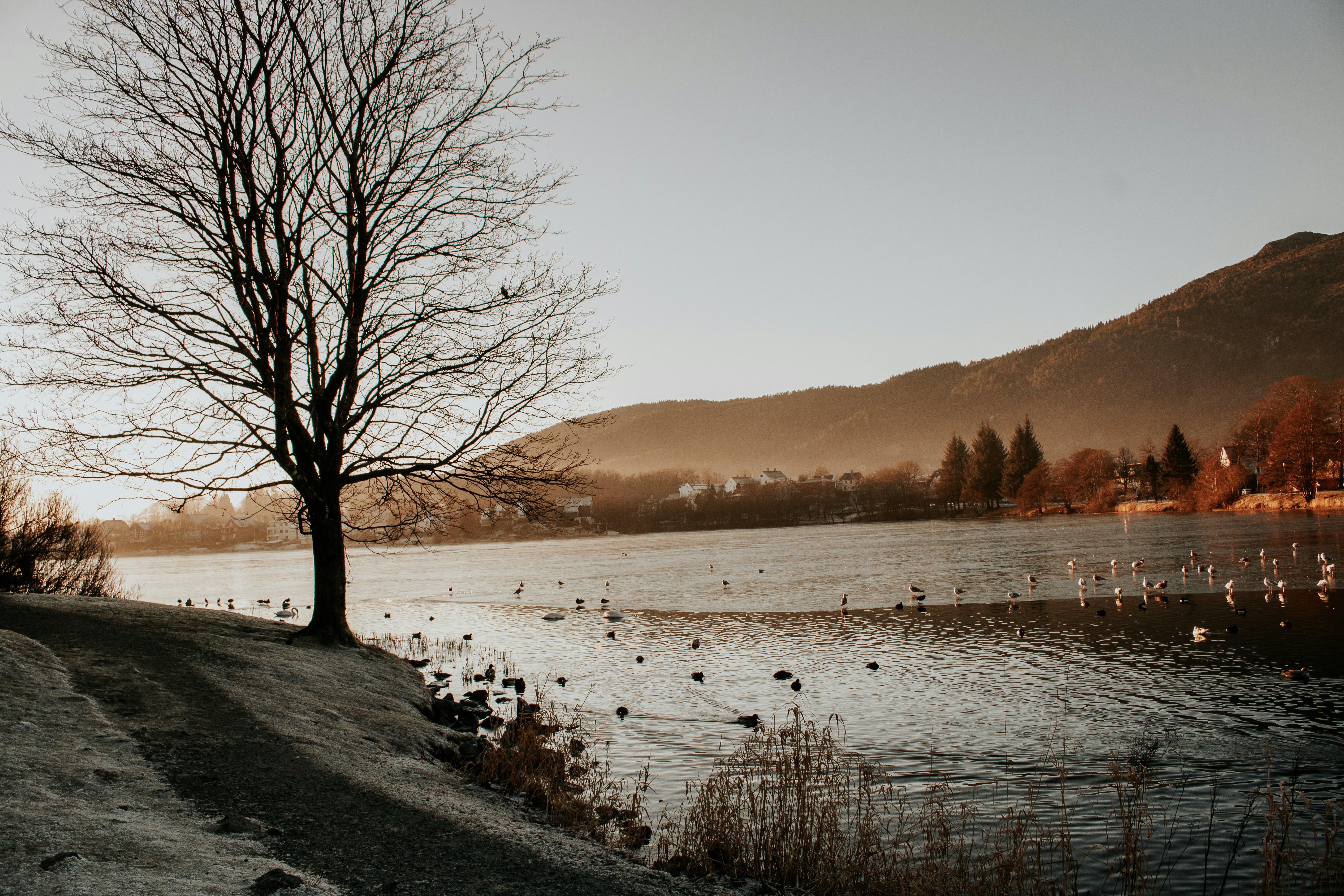 Photo by beafladstad