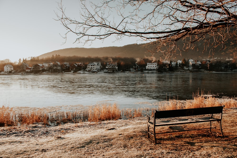 brown wooden bench near body of water during daytime