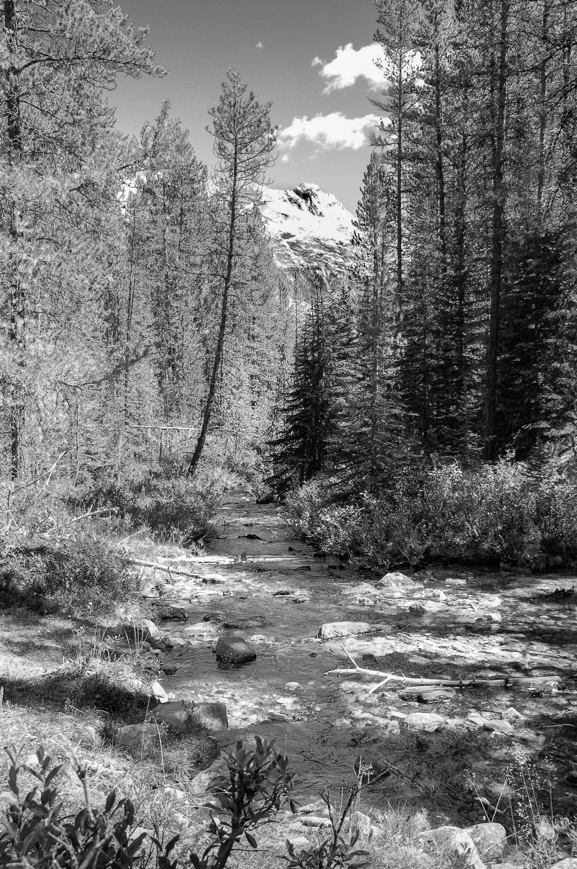 Photo by devonshiremedia