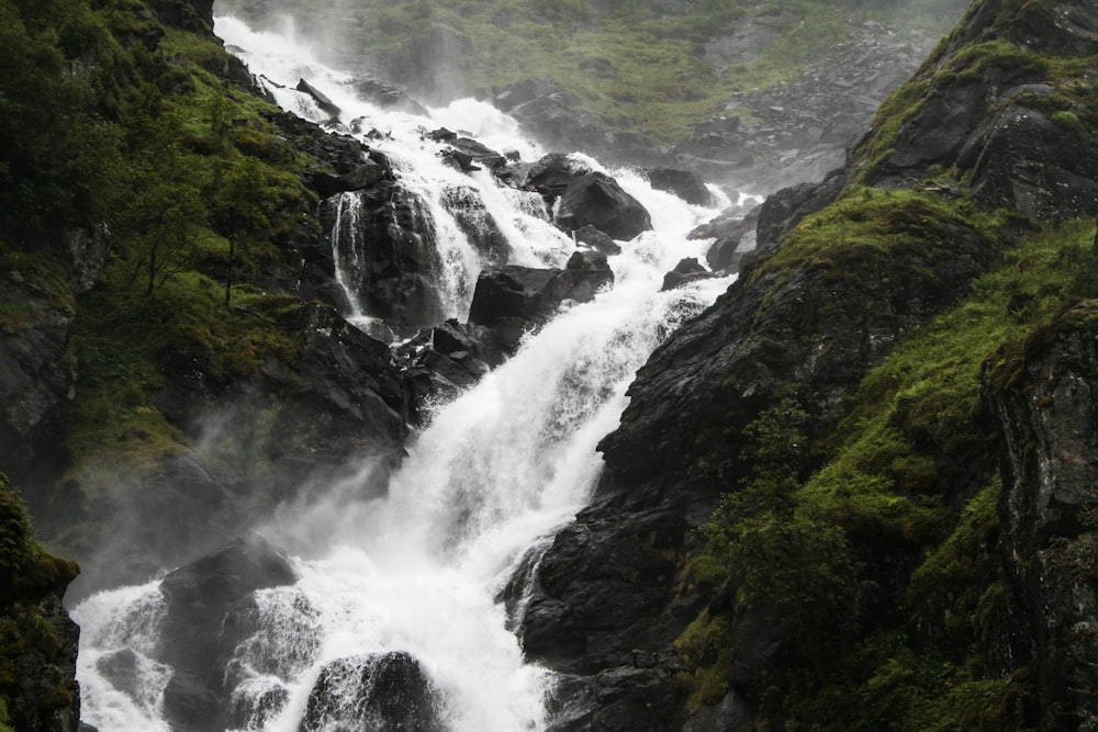 green and white water falls