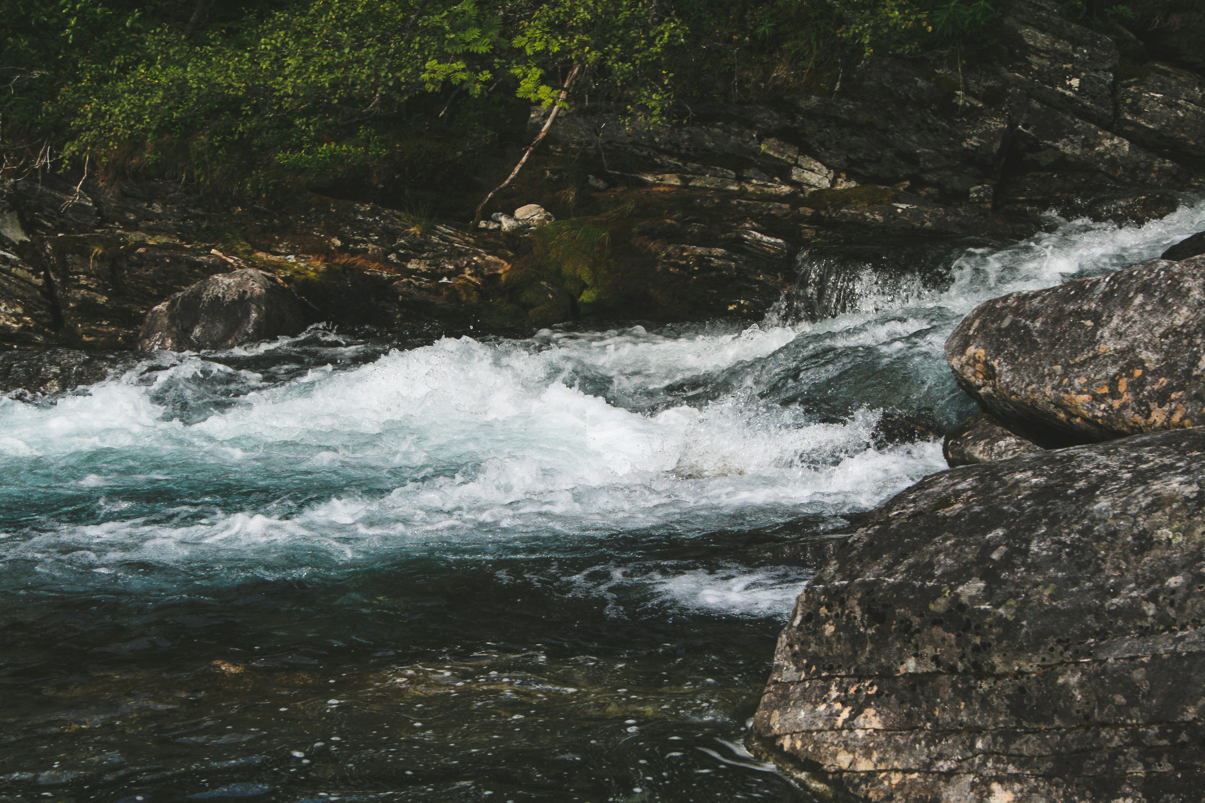 Photo by beafladstad