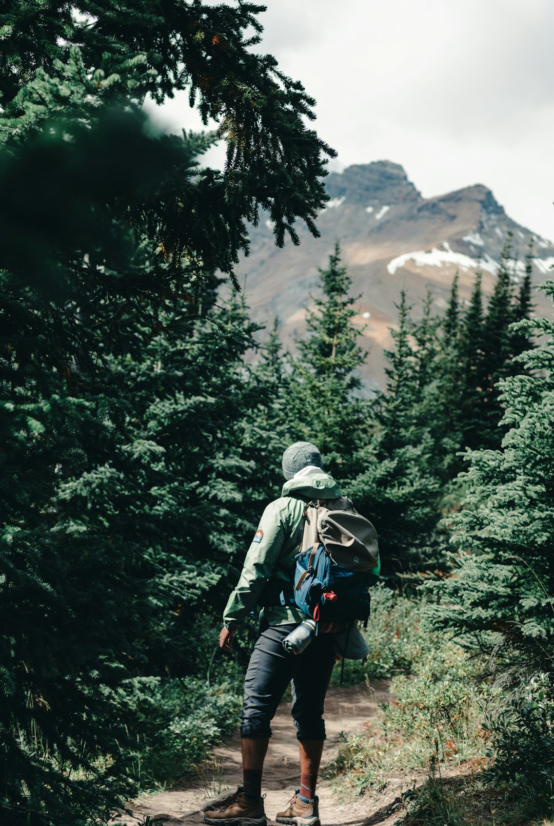 man in green jacket and blue denim jeans carrying backpack walking on pathway between green trees