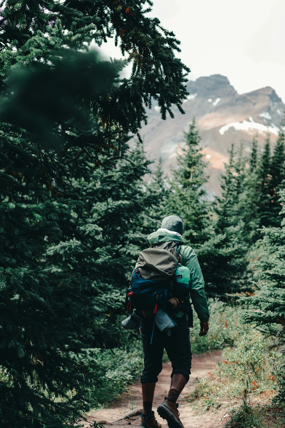 person in green jacket and blue denim jeans with black backpack walking on forest during daytime