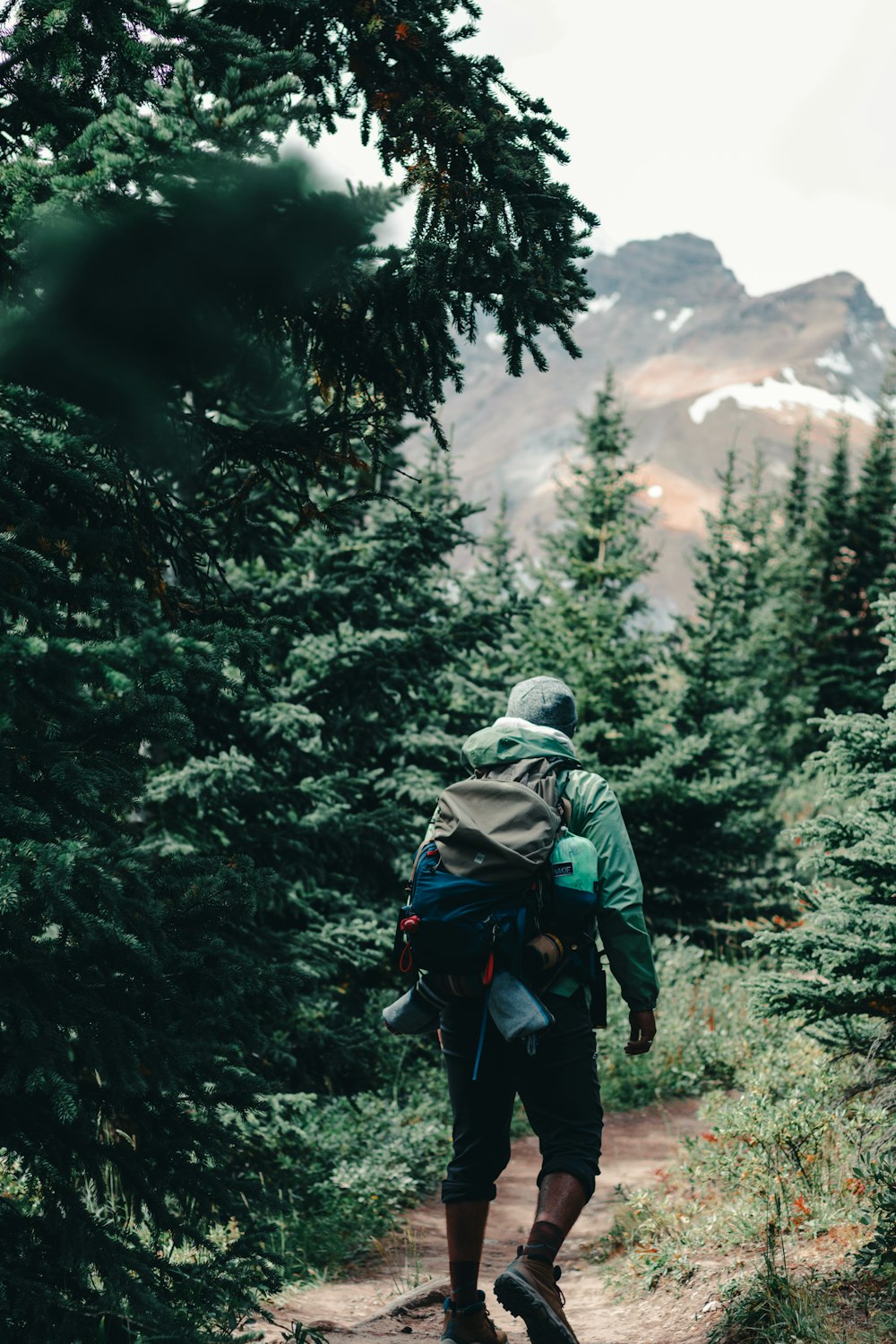 緑のジャケットと青いデニム ジーンズを着て 昼間に森を歩く黒いバックパックを持つ人の写真 Unsplashで見つけるカナダの無料写真