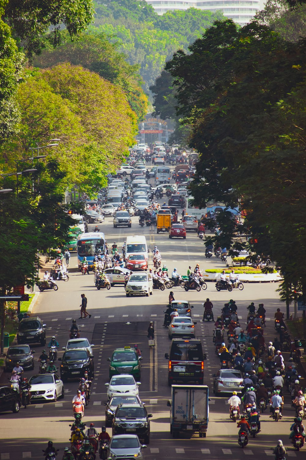 cars on road between trees during daytime