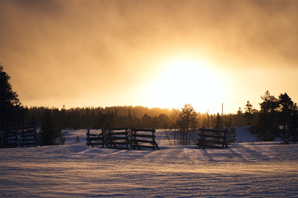 昼間の雪に覆われた地面に茶色の木製の柵