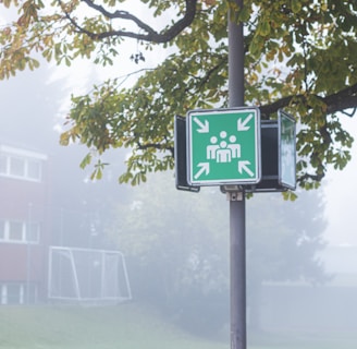 green and white street sign