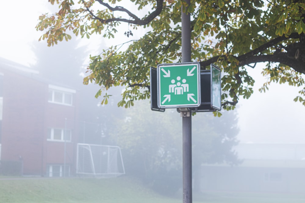 green and white street sign