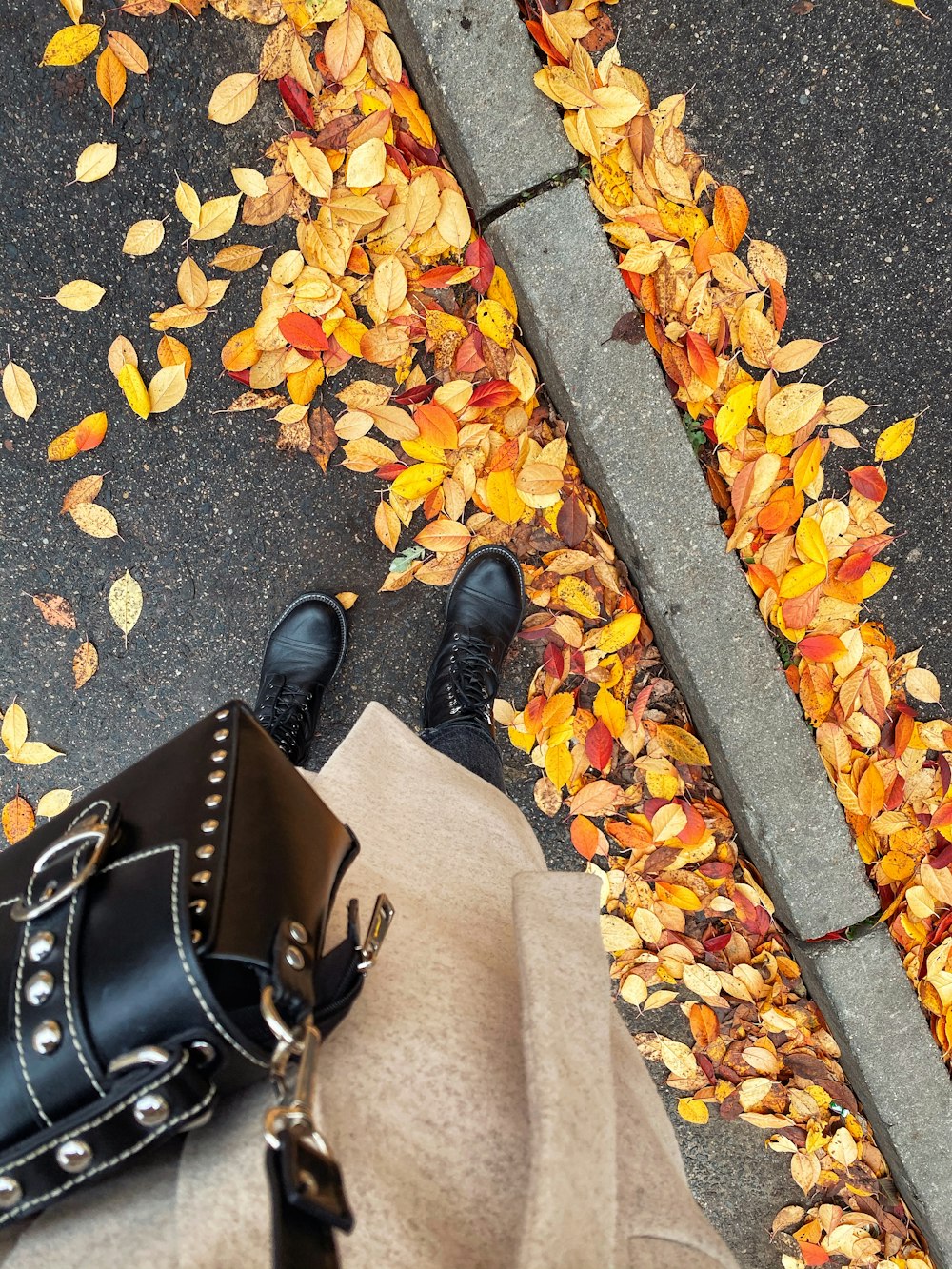 person in black leather shoes standing on yellow leaves