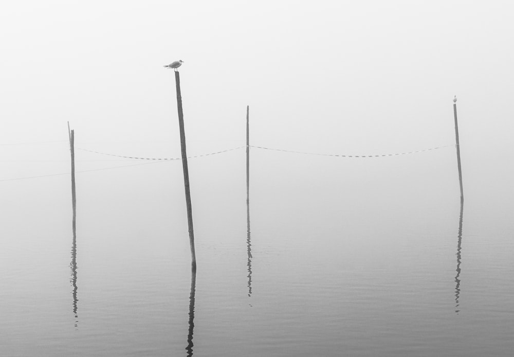 white metal post on body of water