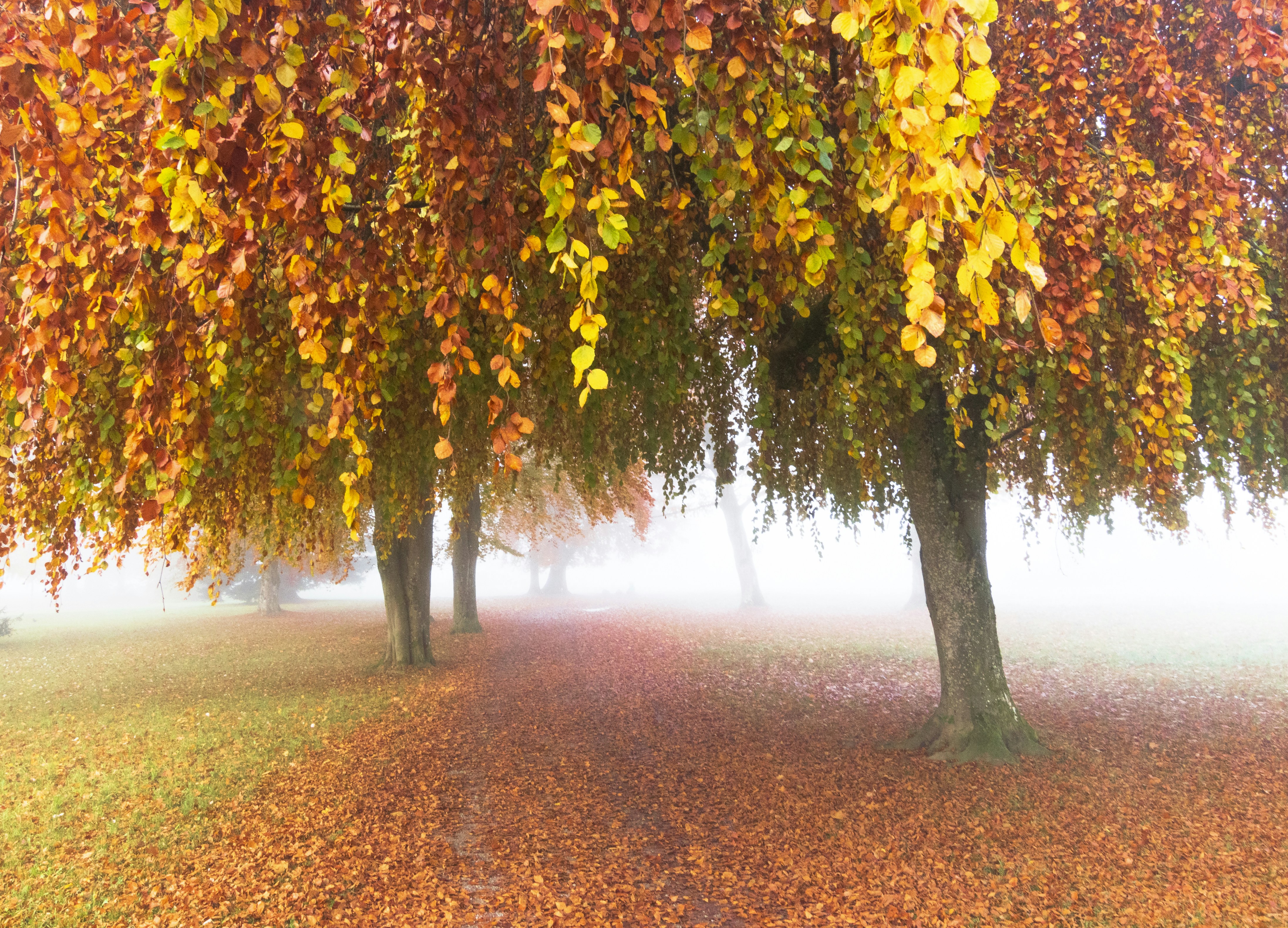 Various GPUs with varying specifications