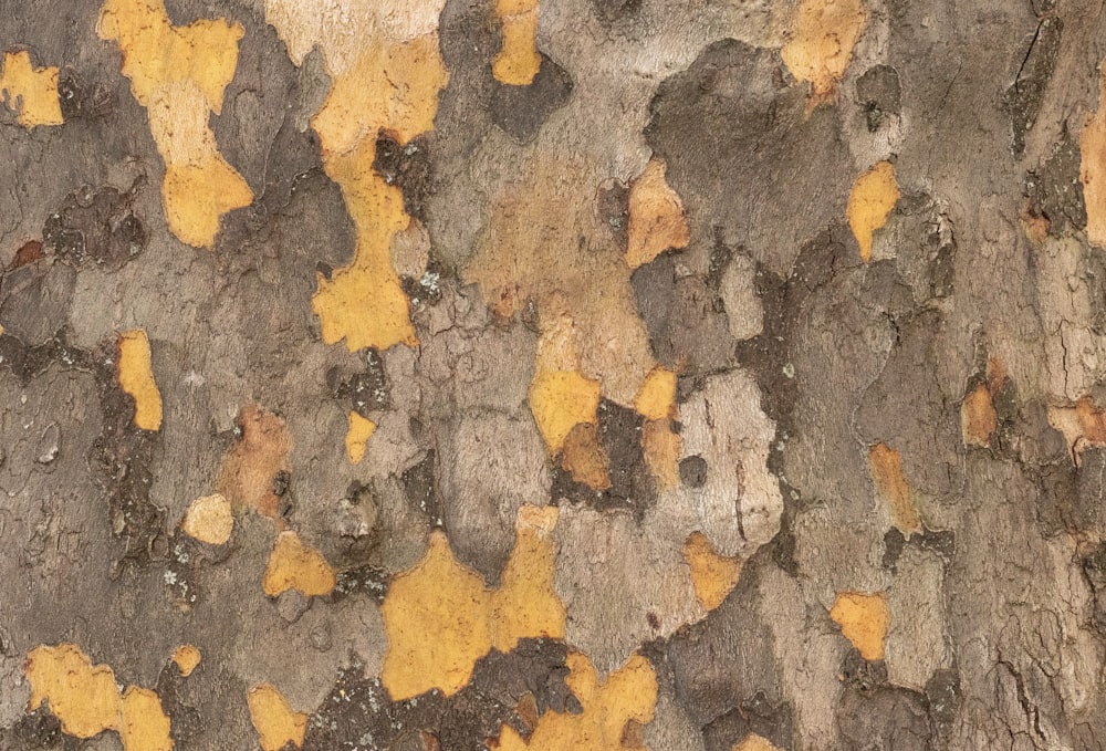 brown and gray stone fragments