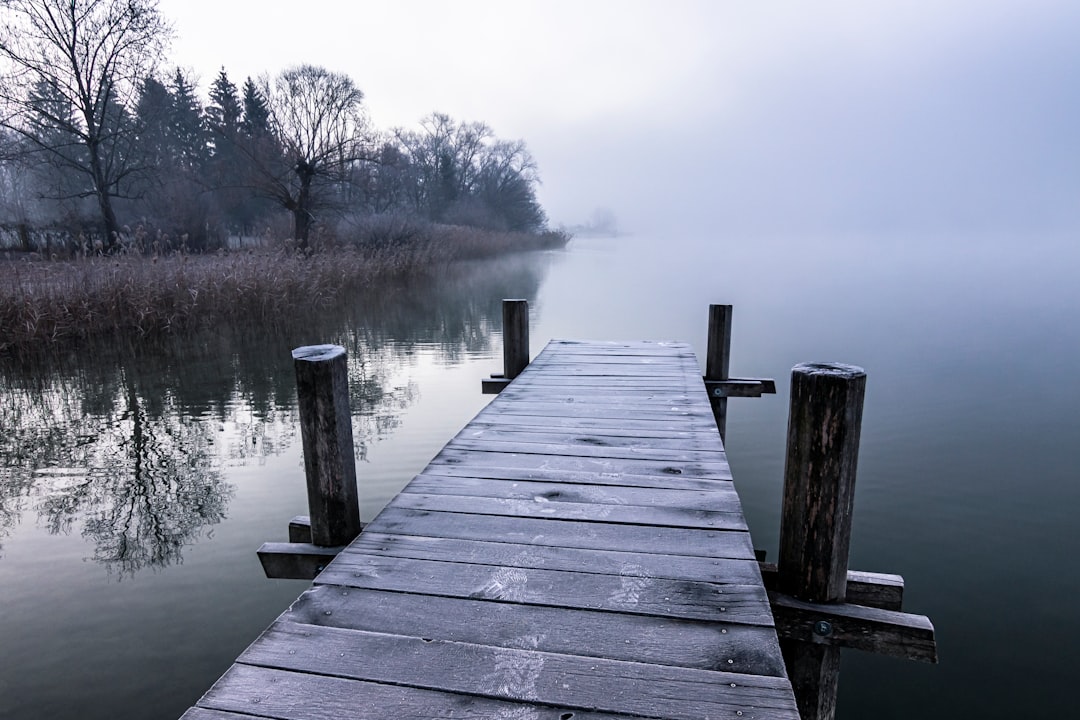 brown wooden dock on lake