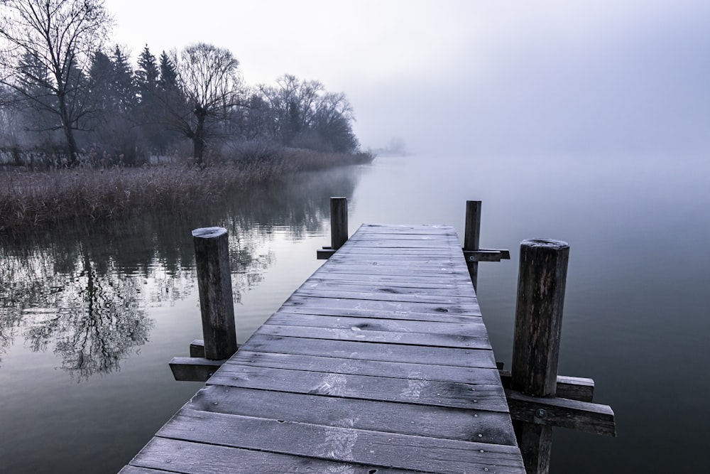 brown wooden dock on lake