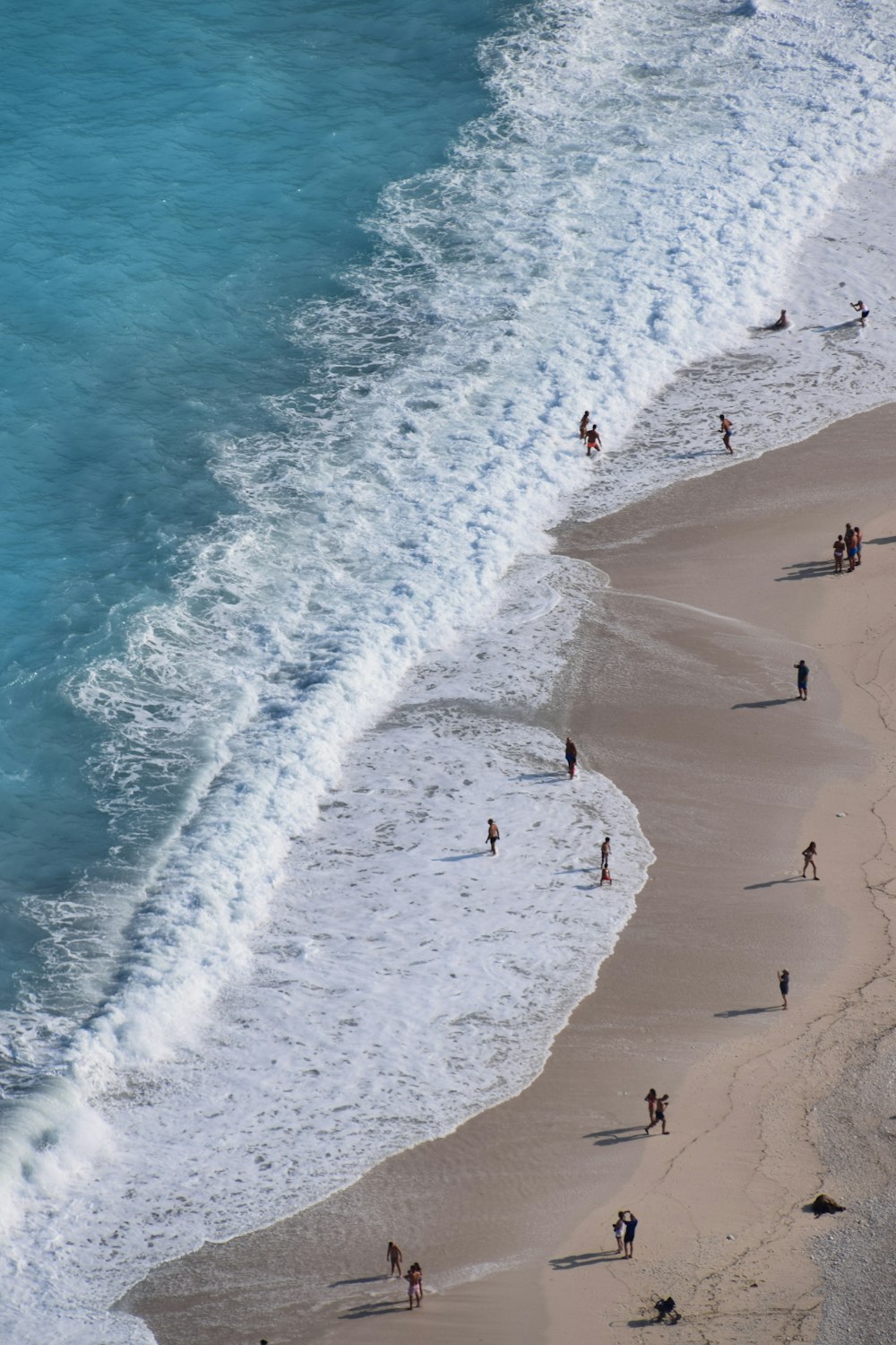 people on beach during daytime