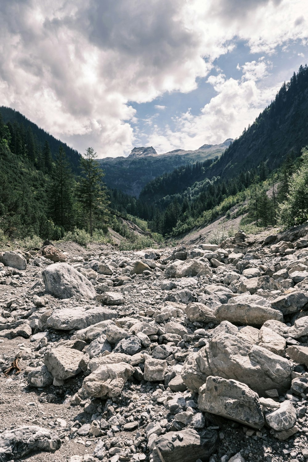 rivière rocheuse entre arbres verts et montagnes sous les nuages blancs et le ciel bleu pendant la journée