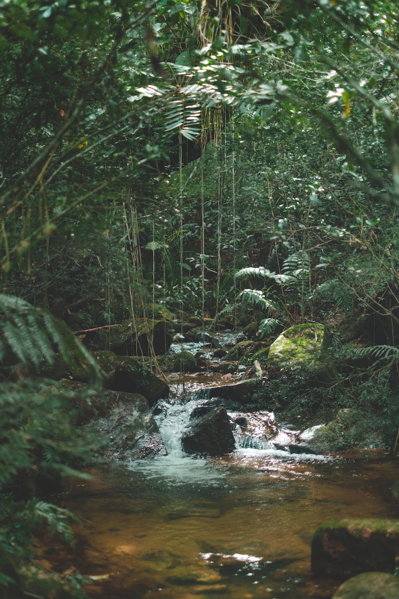 A waterfall in tropical jungle