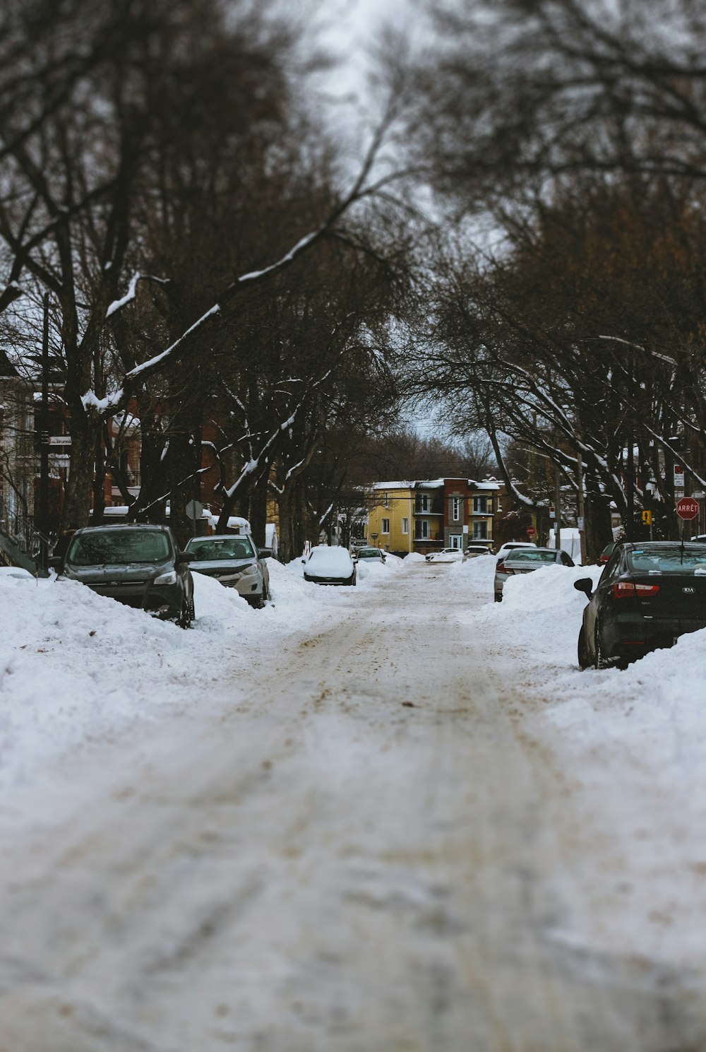 carro preto na estrada coberta de neve durante o dia