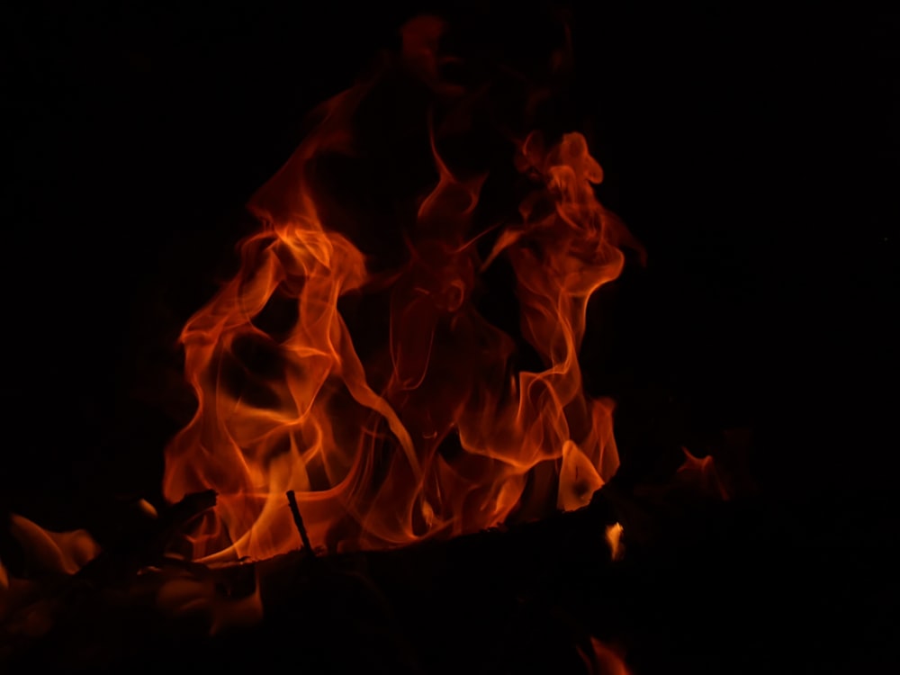 orange fire in dark room