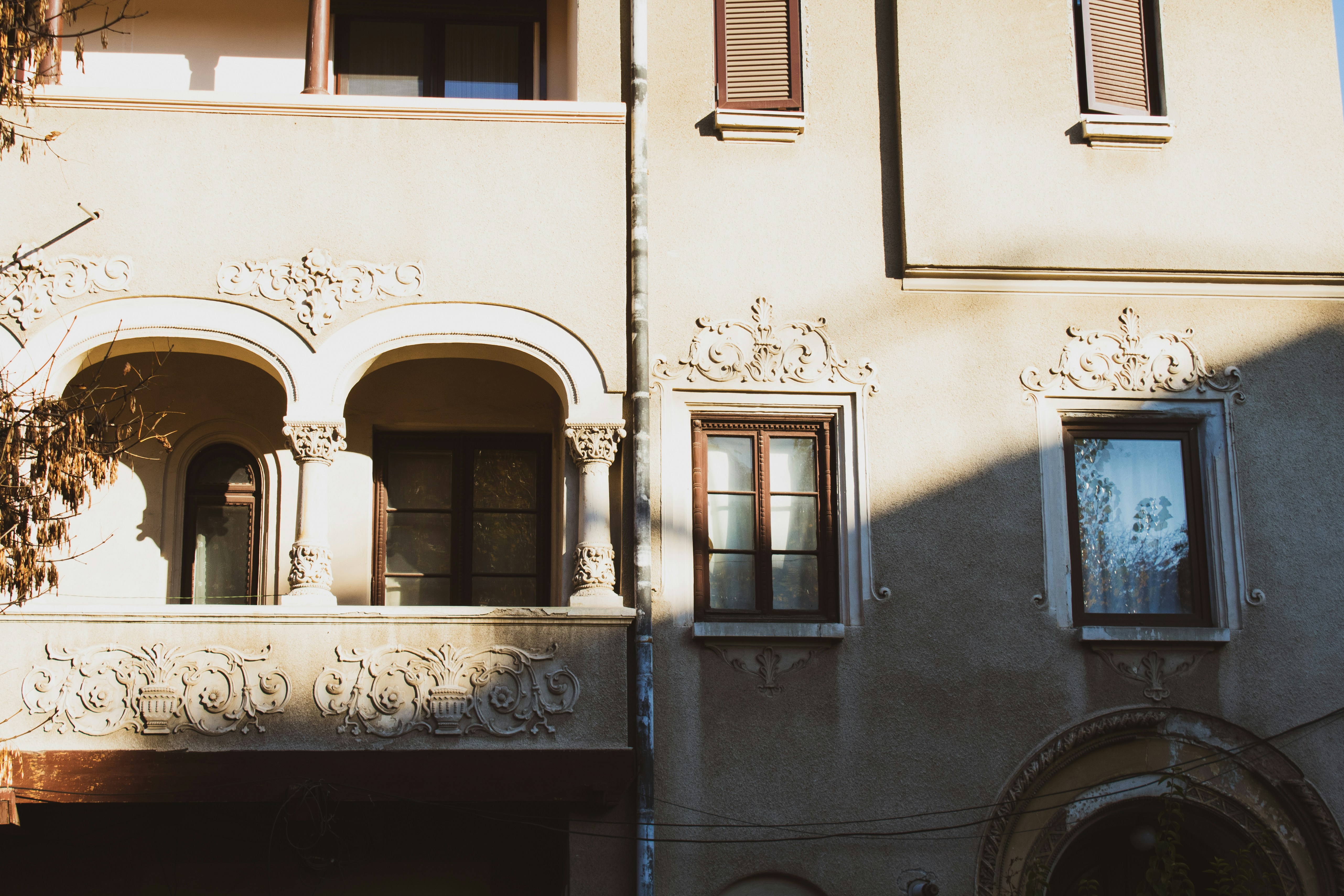 Photo by bianca_fazacas