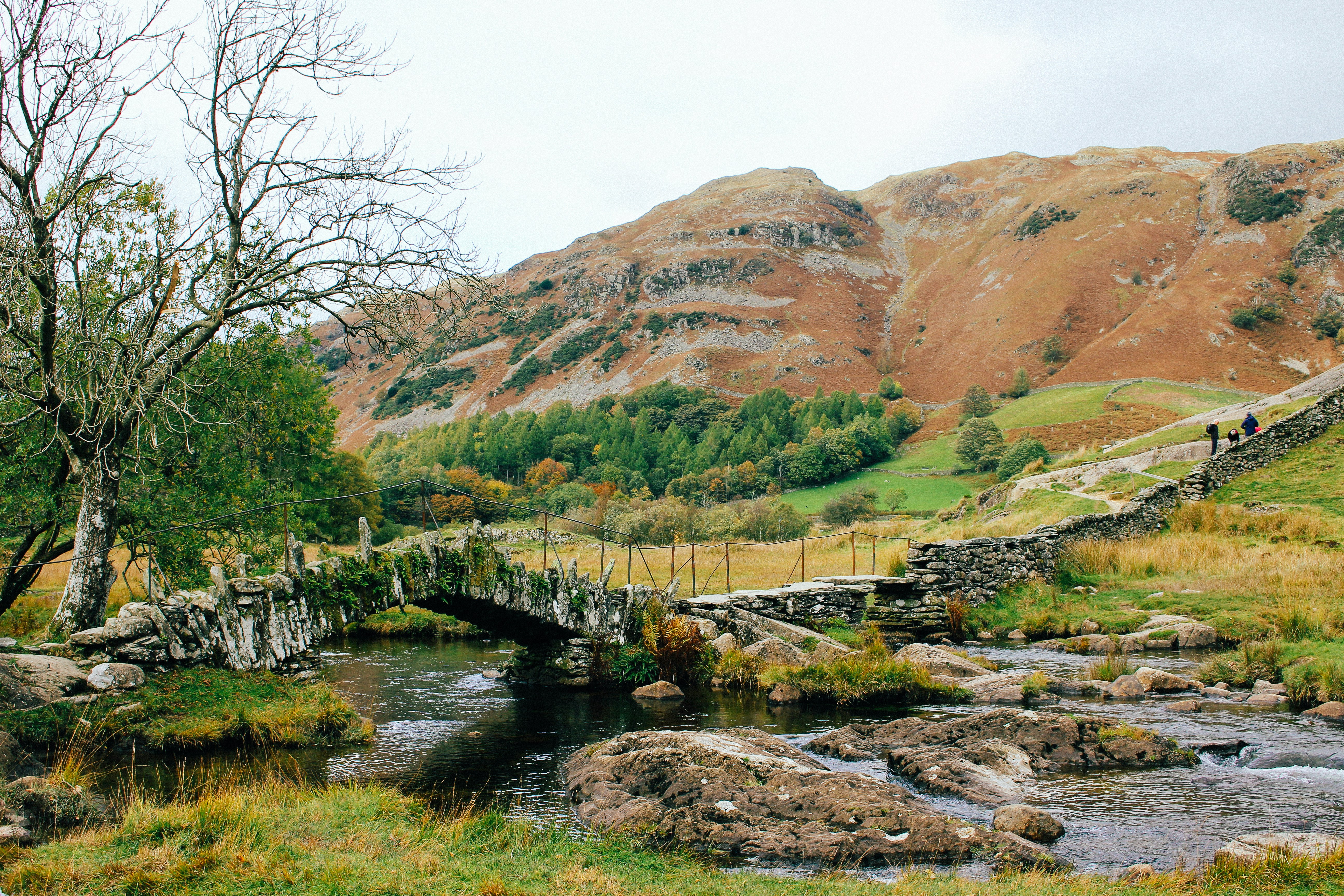 Photo by daviesalice