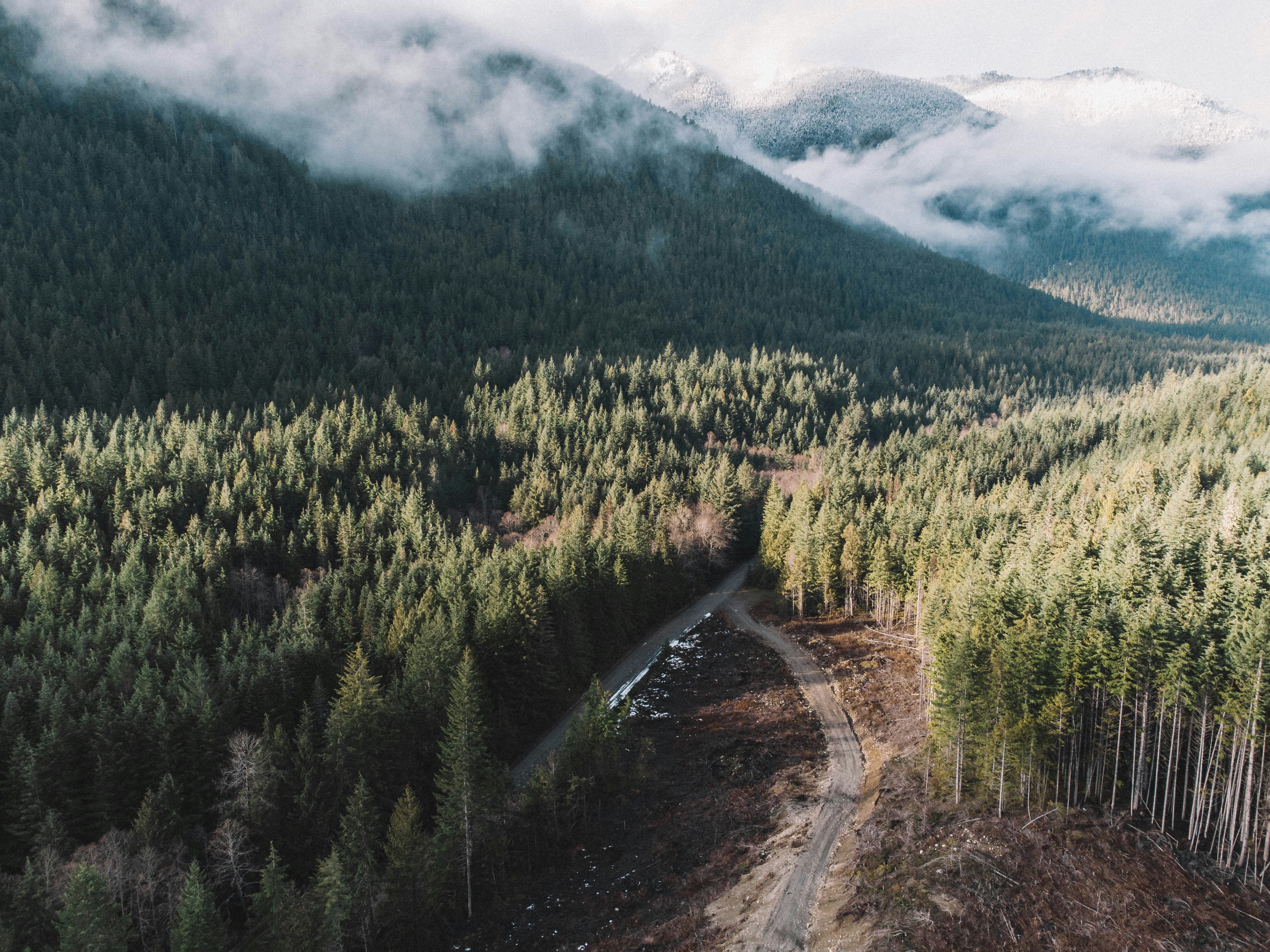 Photo by daviesalice