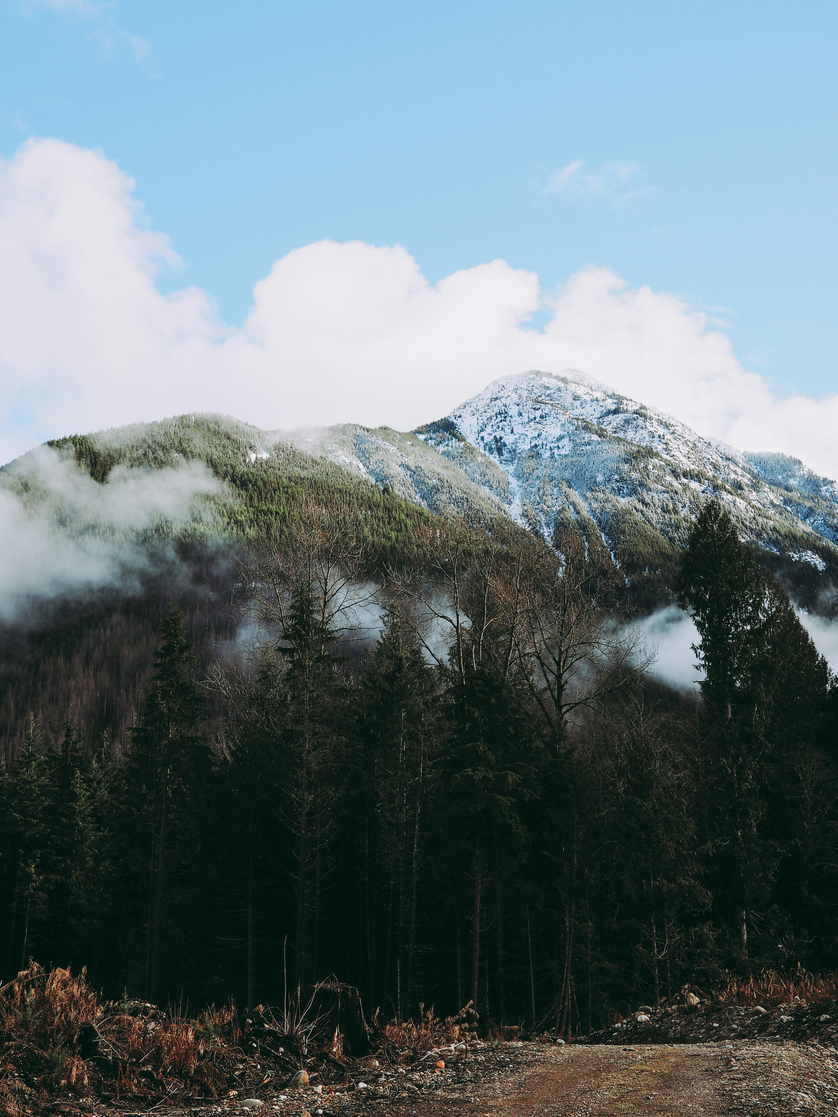 Photo by daviesalice