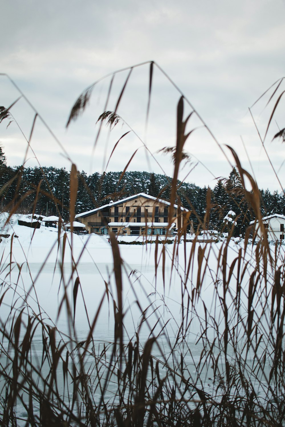 brown wooden house on snow covered ground