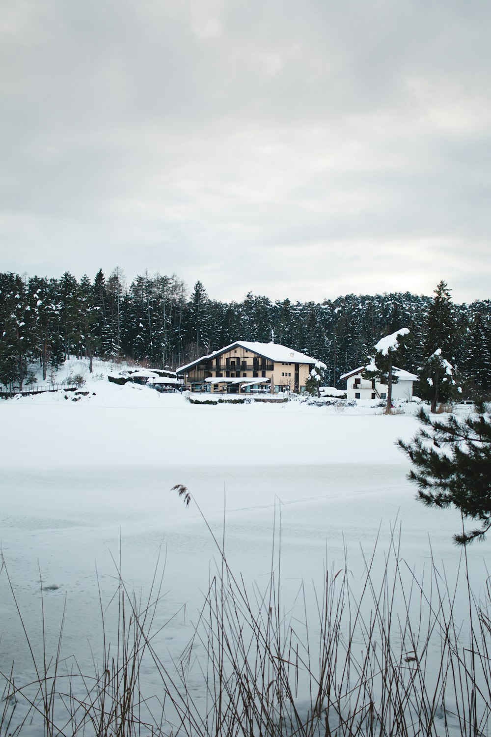 brown wooden house on snow covered ground